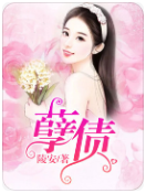 孽债小说全文免费在线阅读插图