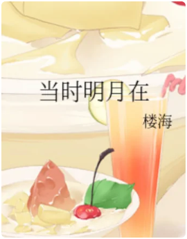 当时明月在小说全文免费在线阅读插图