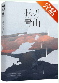 我见青山小说全文免费在线阅读插图
