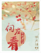向左看,向右转小说全文免费在线阅读插图