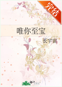 唯你至宝小说全文免费在线阅读插图