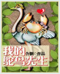 我的鸵鸟先生小说全文免费在线阅读插图