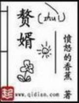 赘婿(1-5)套装最新章节,全文免费在线阅读插图